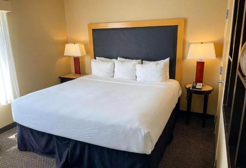 سوئیت با تخت بزرگ, Cambria Hotel Appleton