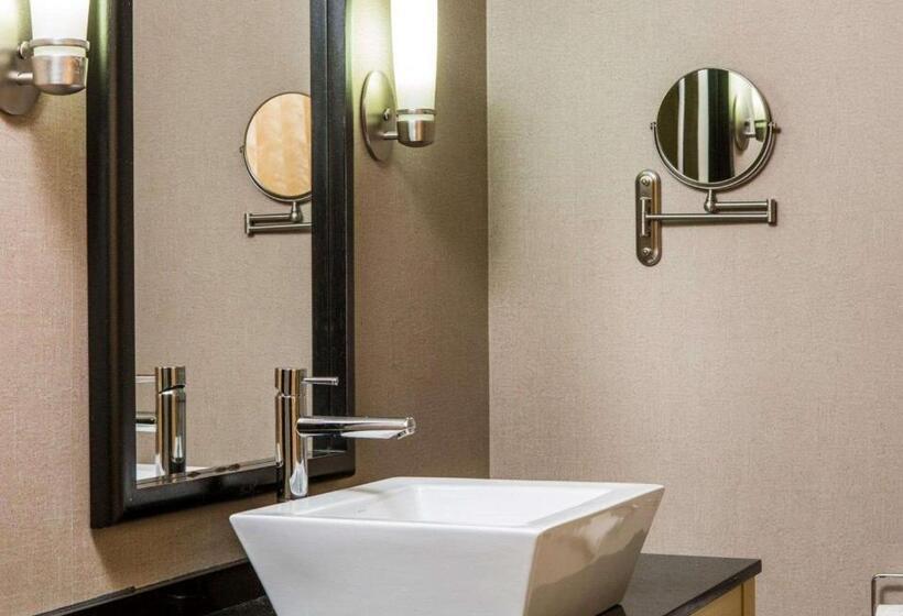 适合残疾人士使用的套间, Cambria Hotel Appleton