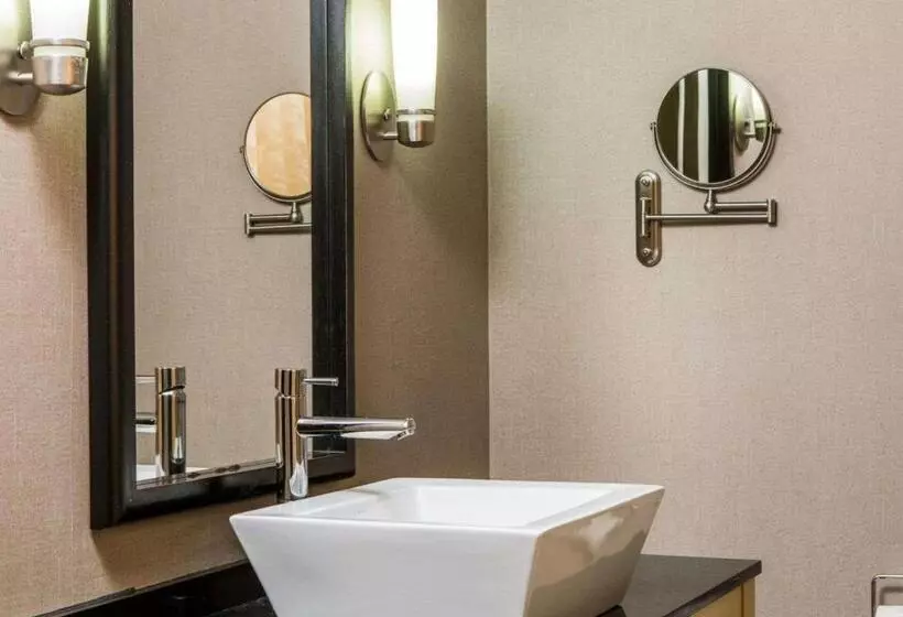 سوئیت برای معلولان, Cambria Hotel Appleton