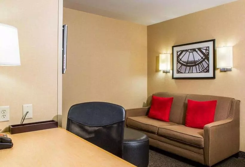 سوئیت برای معلولان, Cambria Hotel Appleton