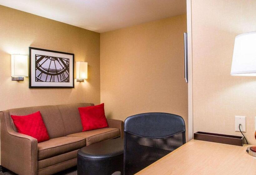 适合残疾人士使用的套间, Cambria Hotel Appleton