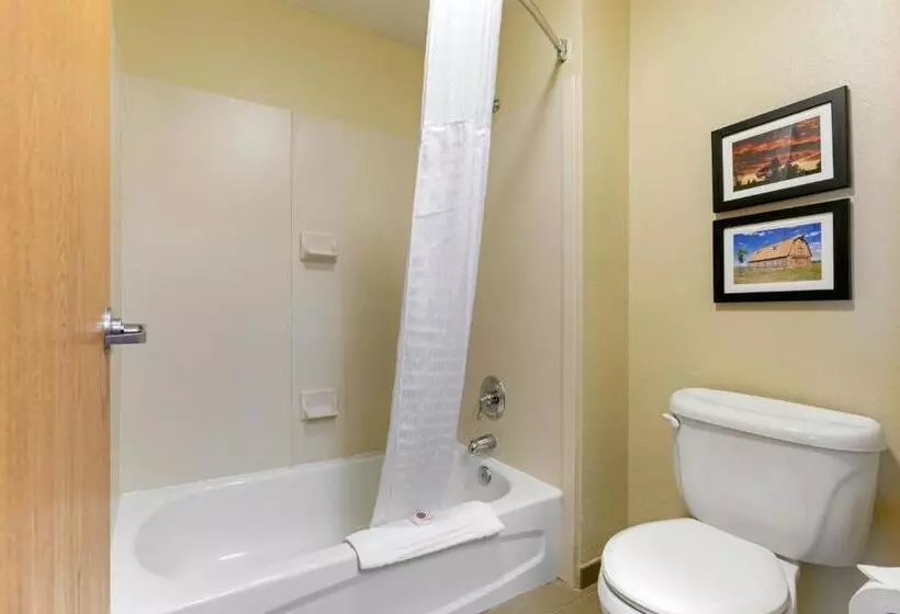 キングサイズベッドのスタンダードルーム, Comfort Inn & Suites Near University Of Wyoming