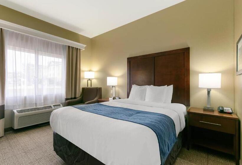 اتاق استاندارد با تخت بزرگ, Comfort Inn & Suites Near University Of Wyoming