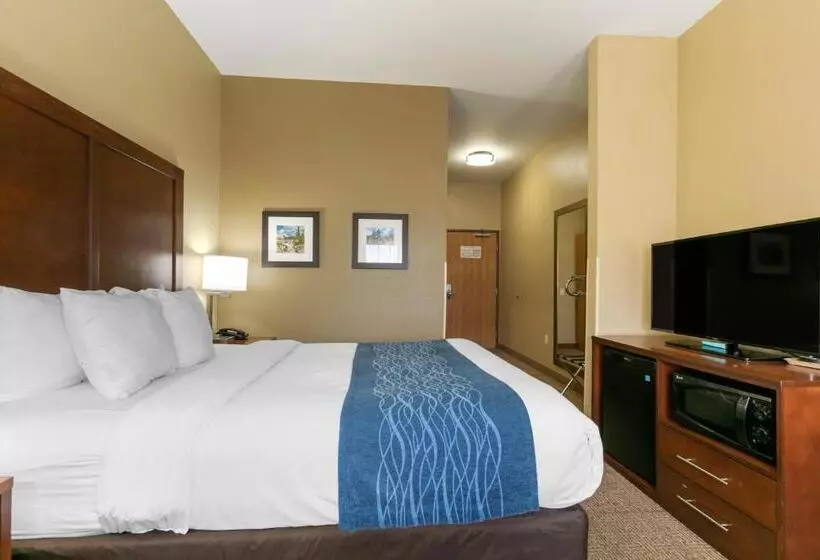キングサイズベッドのスタンダードルーム, Comfort Inn & Suites Near University Of Wyoming