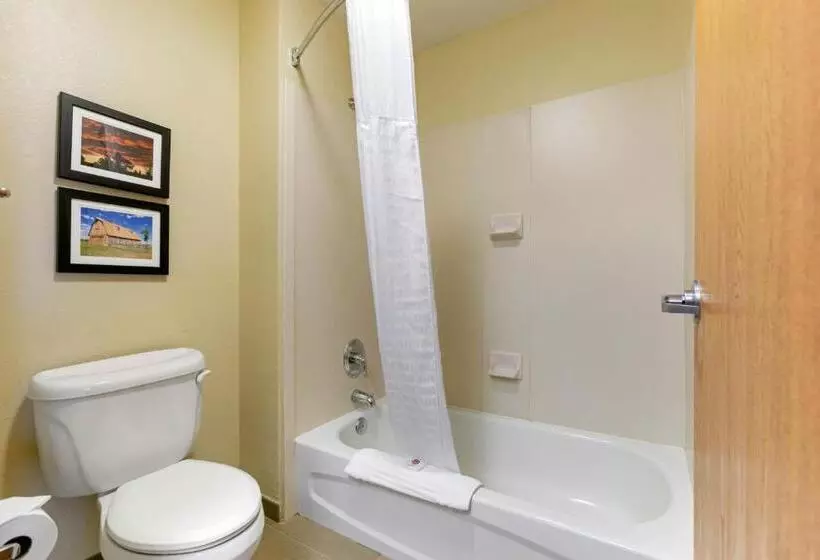 スタンダードルーム, Comfort Inn & Suites Near University Of Wyoming