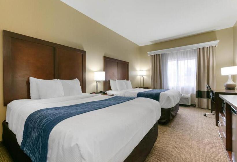 スタンダードルーム, Comfort Inn & Suites Near University Of Wyoming