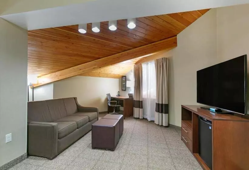 スーペリアースイート, Comfort Inn & Suites Near University Of Wyoming