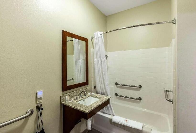 اتاق استاندارد برای معلولان, Comfort Inn & Suites Near University Of Wyoming