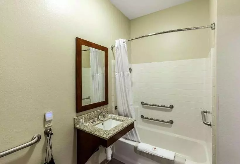 身障者適用スタンダードルーム, Comfort Inn & Suites Near University Of Wyoming