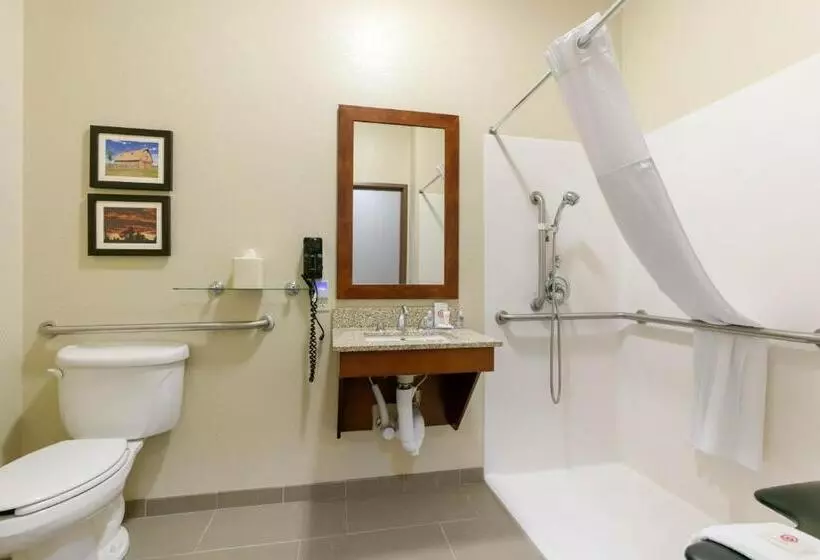 身障者適用スタンダードルーム, Comfort Inn & Suites Near University Of Wyoming
