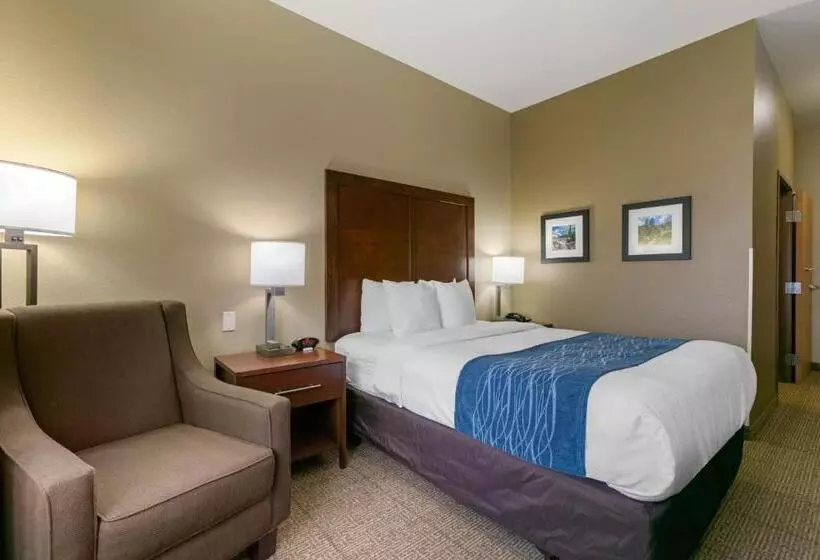 身障者適用スタンダードルーム, Comfort Inn & Suites Near University Of Wyoming