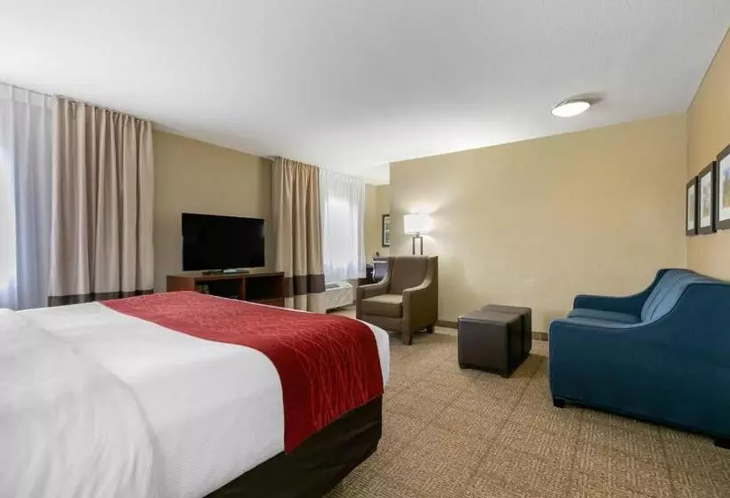 身障者適用スイートルーム, Comfort Inn & Suites Near University Of Wyoming