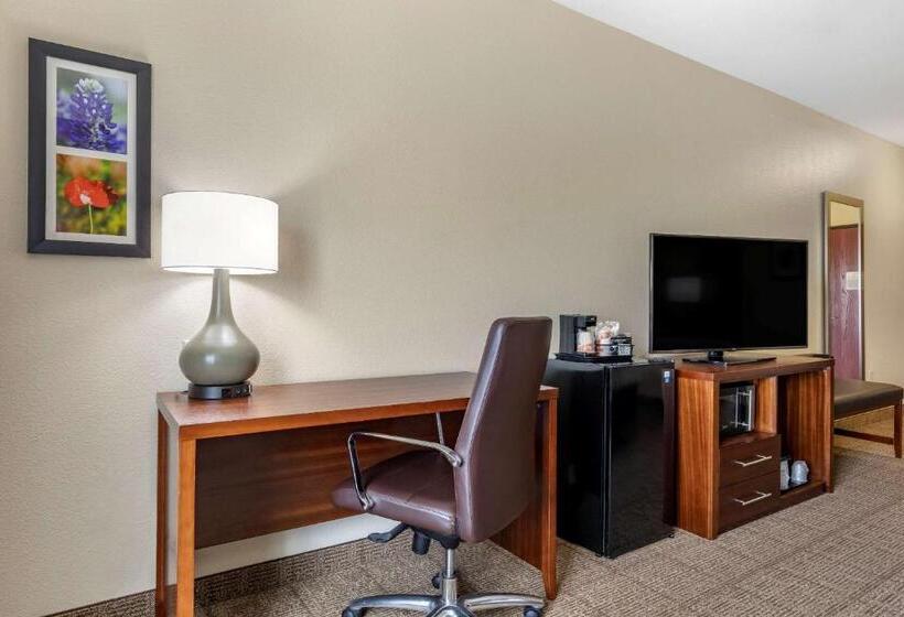 غرفة قياسية سرير كينج, Comfort Inn & Suites Paris