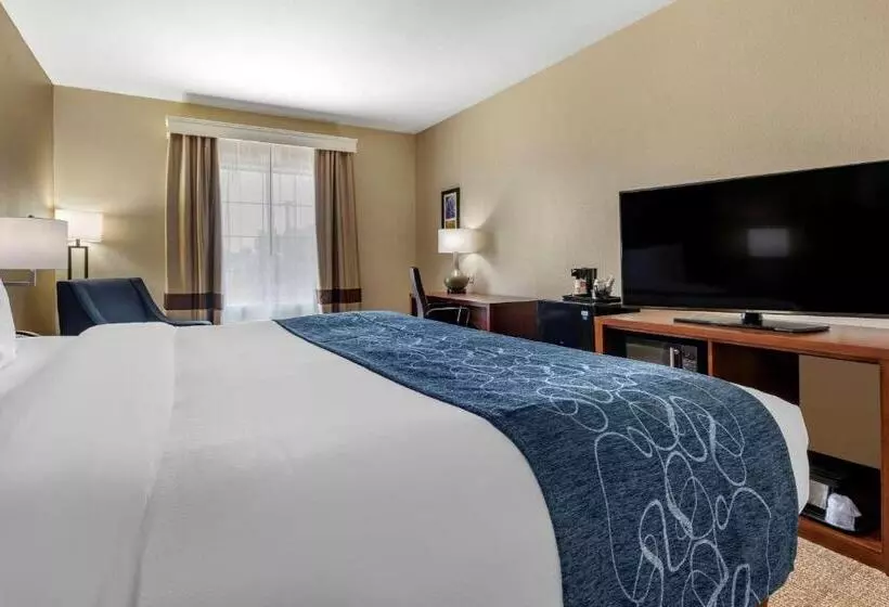 Standard-huone King-vuode, Comfort Inn & Suites Paris