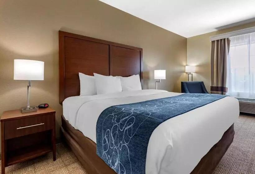 Standard-huone King-vuode, Comfort Inn & Suites Paris
