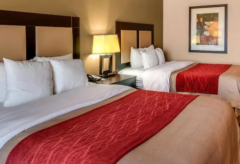 Standard-huone, Comfort Inn & Suites Paris