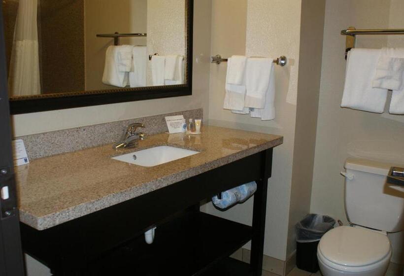 غرفة قياسية, Comfort Inn & Suites Paris