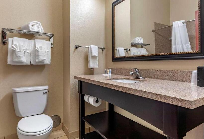 Люкс Кровать Кинг, Comfort Inn & Suites Paris