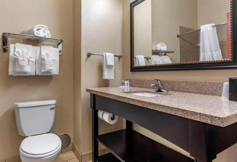 Sviitti King-vuode, Comfort Inn & Suites Paris