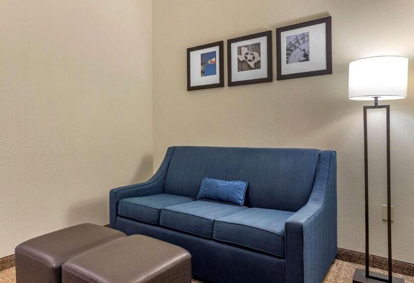 جناح سرير كينج, Comfort Inn & Suites Paris