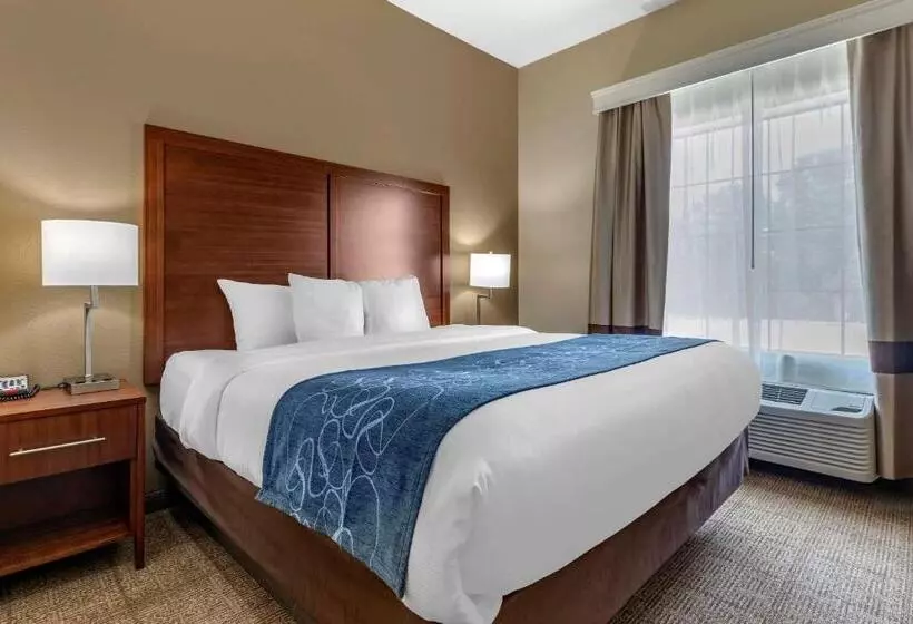 Sviitti King-vuode, Comfort Inn & Suites Paris