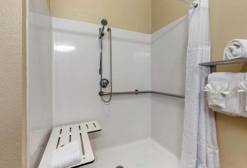 Номер Стандарт Кровать Кинг Адаптированный для Инвалидов, Comfort Inn & Suites Paris