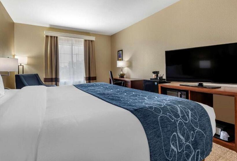 غرفة قياسية سرير كينج لذوى الإحتياجات الخاصة, Comfort Inn & Suites Paris