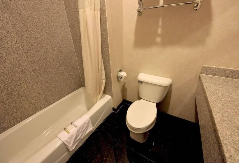 اتاق لوکس با چشم‌انداز دریاچه, Crown Choice Inn & Suites Lakeview And Waterpark