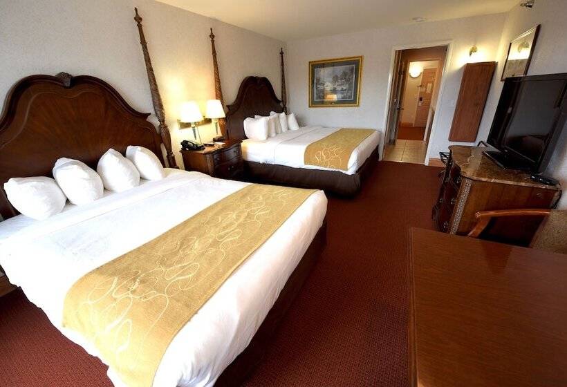 חדר דלוקס נוף לאגם, Crown Choice Inn & Suites Lakeview And Waterpark