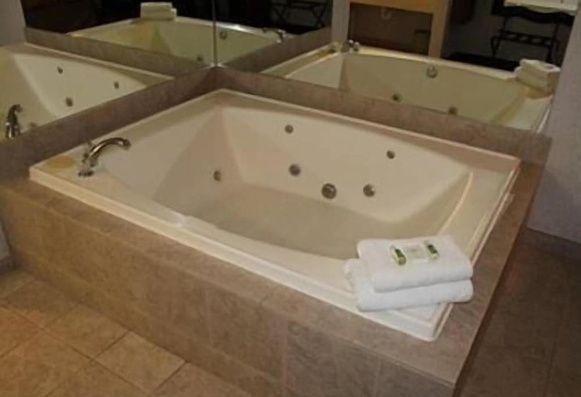 חדר דלוקס נוף לאגם, Crown Choice Inn & Suites Lakeview And Waterpark