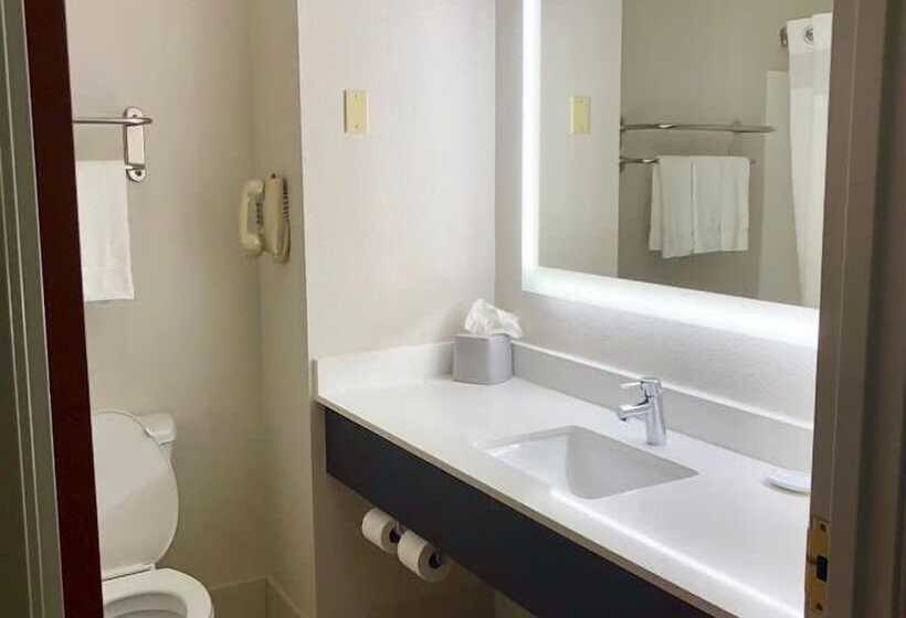 חדר סטנדרט, Holiday Inn Express Hotel & Suites Decatur, Tx, An Ihg