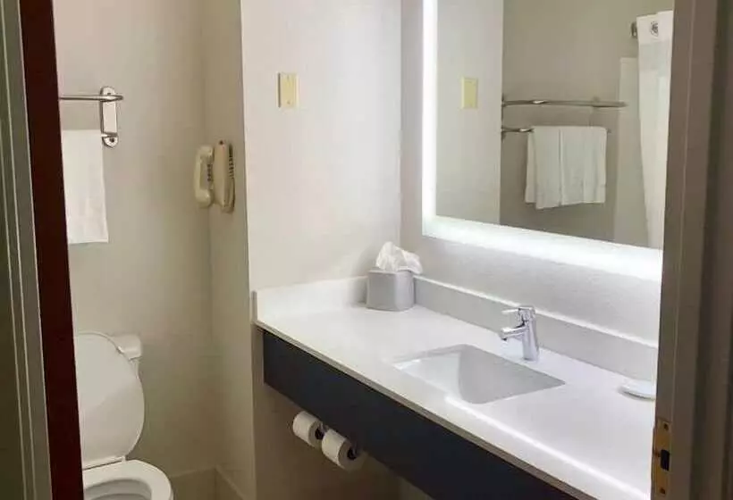 Standard-huone, Holiday Inn Express Hotel & Suites Decatur, Tx, An Ihg