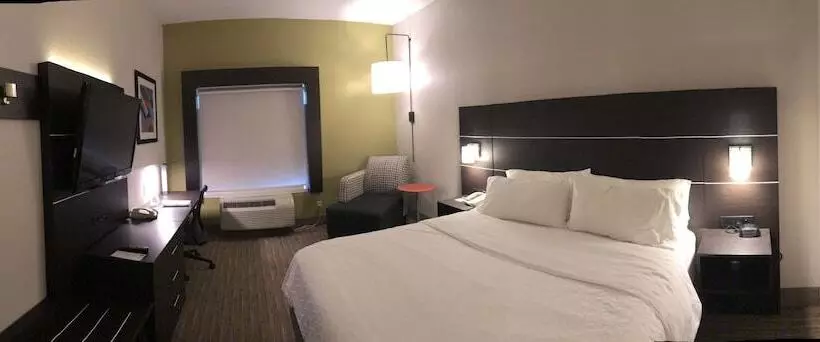 Standard-huone, Holiday Inn Express Hotel & Suites Decatur, Tx, An Ihg
