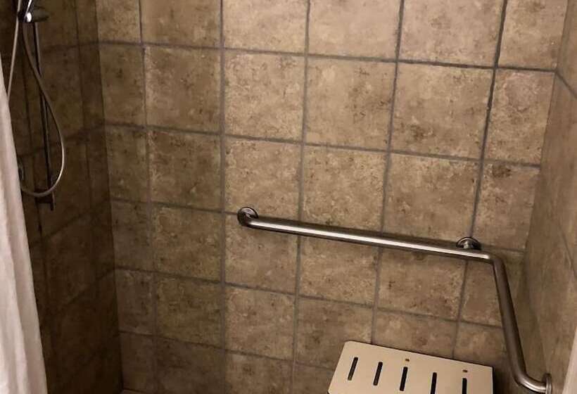 סוויטה מותאמת לאדם עם מוגבלויות, Holiday Inn Express Hotel & Suites Decatur, Tx, An Ihg