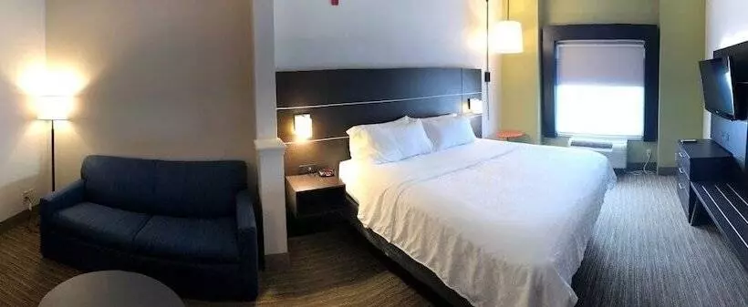 Sviitti Liikuntarajoitteisille, Holiday Inn Express Hotel & Suites Decatur, Tx, An Ihg