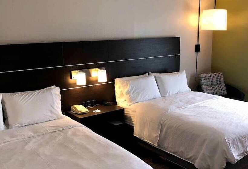 Люкс Адаптированный для Инвалидов, Holiday Inn Express Hotel & Suites Decatur, Tx, An Ihg