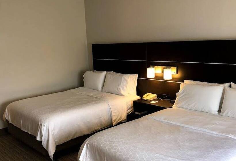 סוויטה מותאמת לאדם עם מוגבלויות, Holiday Inn Express Hotel & Suites Decatur, Tx, An Ihg