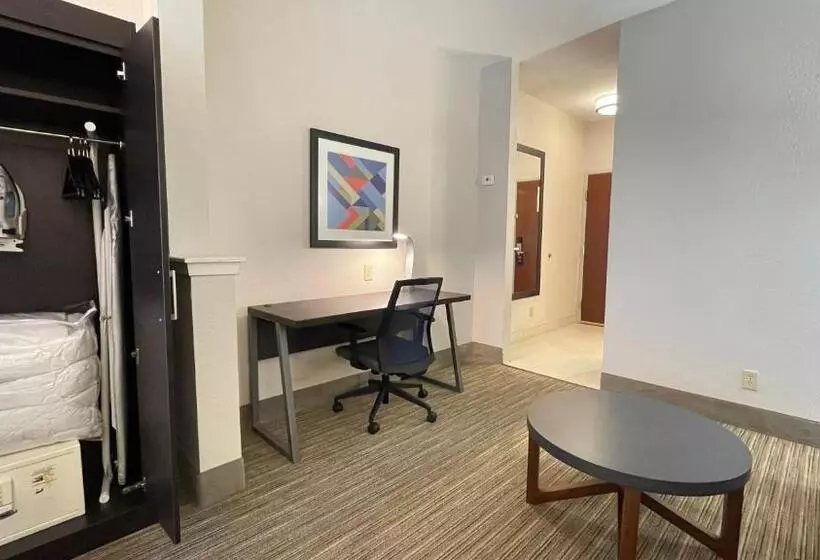 Sviitti King-vuode, Holiday Inn Express Hotel & Suites Decatur, Tx, An Ihg