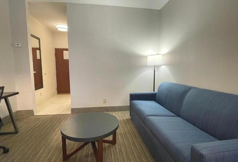 Люкс Кровать Кинг, Holiday Inn Express Hotel & Suites Decatur, Tx, An Ihg