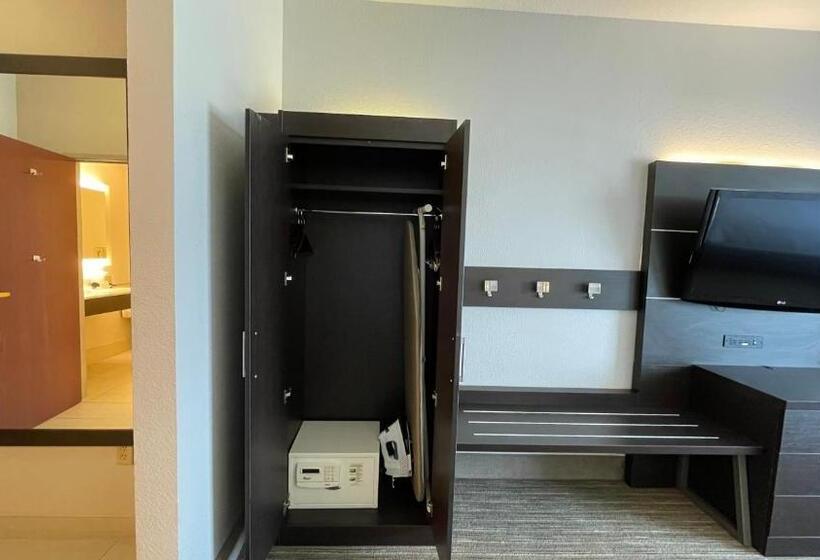 Номер Стандарт Адаптированный для Инвалидов, Holiday Inn Express Hotel & Suites Decatur, Tx, An Ihg
