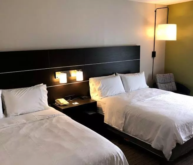 Standard-invahuone, Holiday Inn Express Hotel & Suites Decatur, Tx, An Ihg