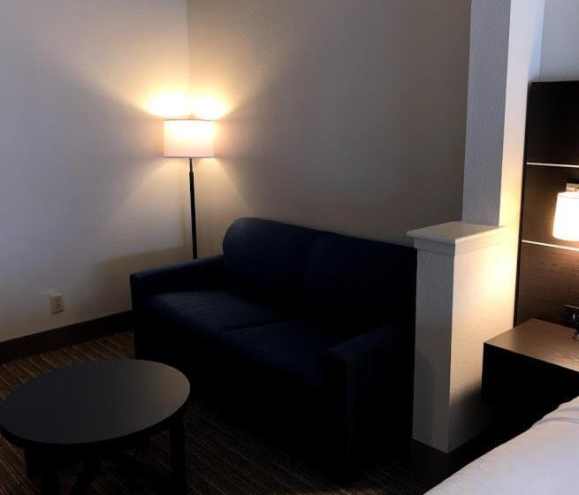 סוויטה מותאמת לאדם עם מוגבלויות, Holiday Inn Express Hotel & Suites Decatur, Tx, An Ihg