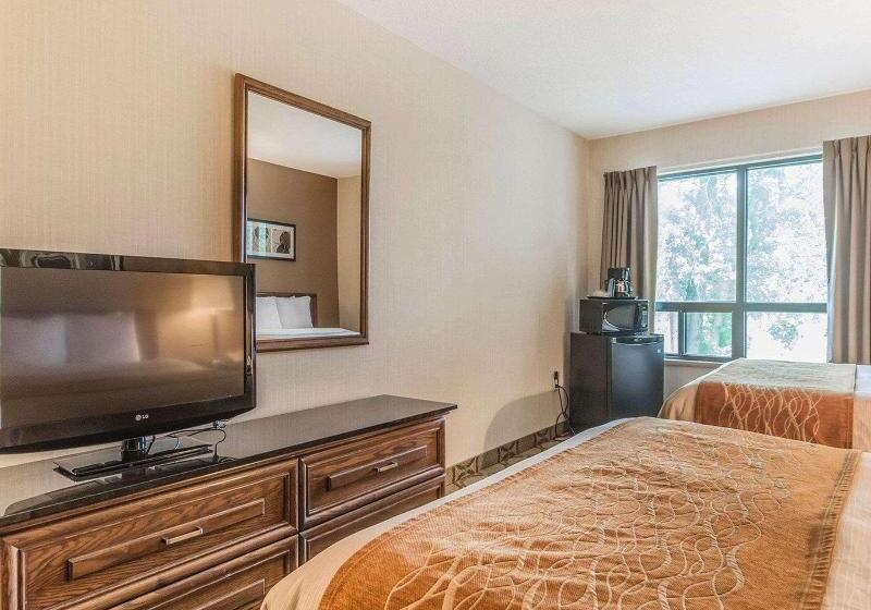 חדר סטנדרט, Holiday Inn Express Hotel & Suites Decatur, Tx, An Ihg