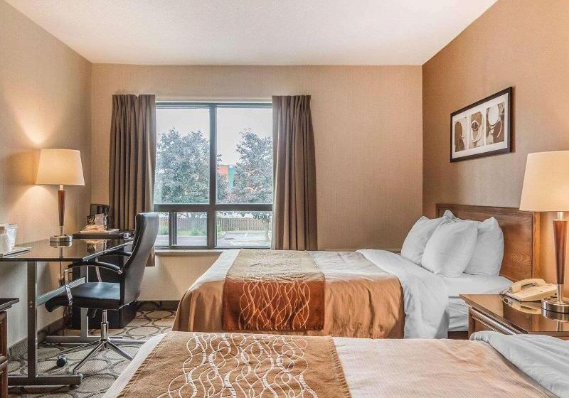 Номер Стандарт, Holiday Inn Express Hotel & Suites Decatur, Tx, An Ihg