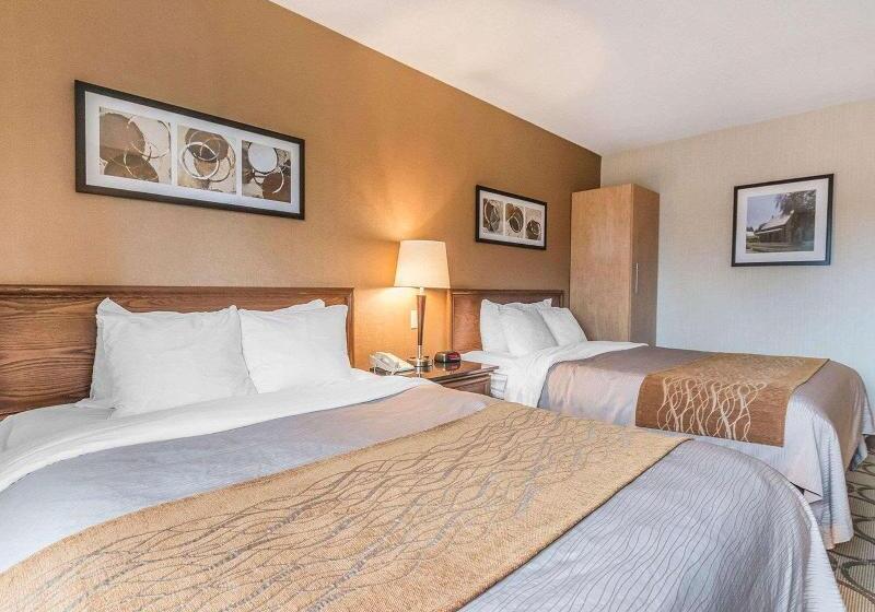 חדר סטנדרט, Holiday Inn Express Hotel & Suites Decatur, Tx, An Ihg