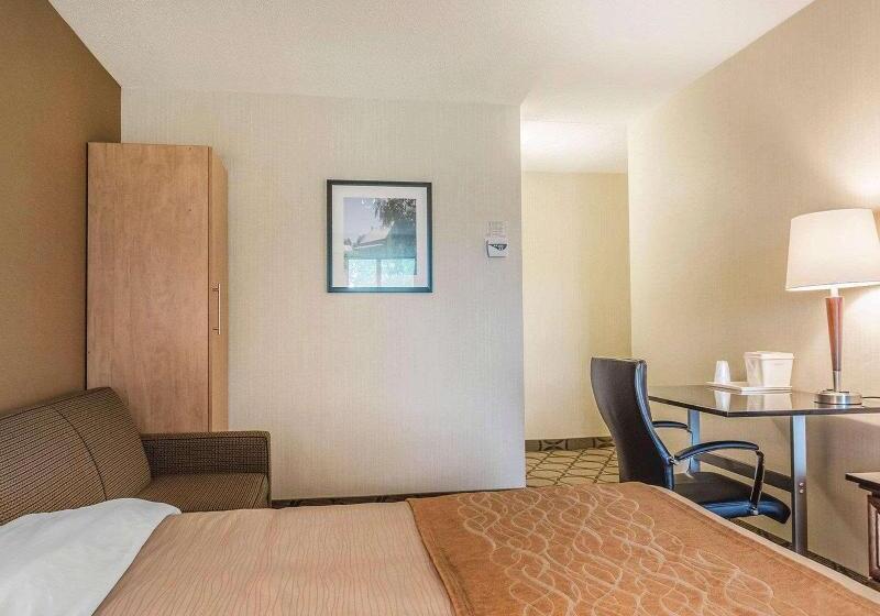 Номер Стандарт, Holiday Inn Express Hotel & Suites Decatur, Tx, An Ihg