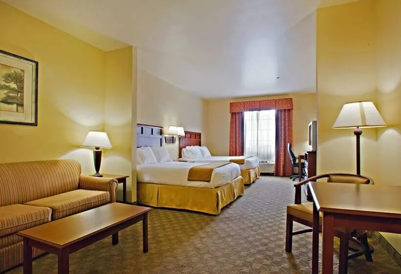 Sviitti, Holiday Inn Express Hotel & Suites Levelland, An Ihg