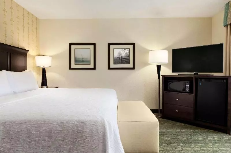 キングサイズベッドのスタンダードルーム, Holiday Inn Express Hotel & Suites Warrenton, An Ihg