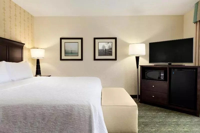キングサイズベッドのスタンダードルーム, Holiday Inn Express Hotel & Suites Warrenton, An Ihg