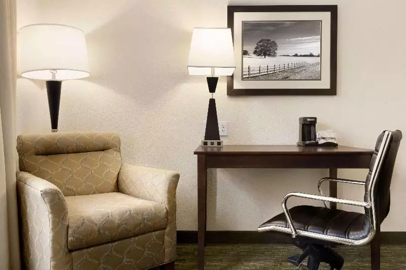 キングサイズベッドのスタンダードルーム, Holiday Inn Express Hotel & Suites Warrenton, An Ihg